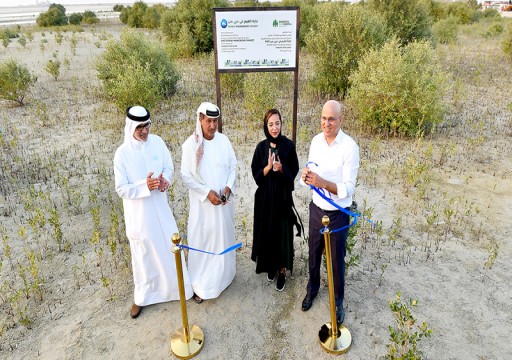 "الإمارات للبيئة البحرية" و"بروكتر آند جامبل" تفتتحان غابة القرم بدبي