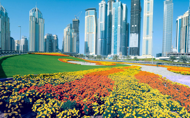 53 % من سكان الإمارات يستثمرون في القطاع العقاري