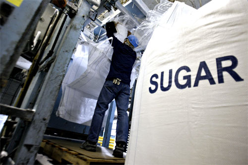 مجلس الوزراء المصري يوافق على بناء مصنع سكر جديد برأس مال إماراتي
