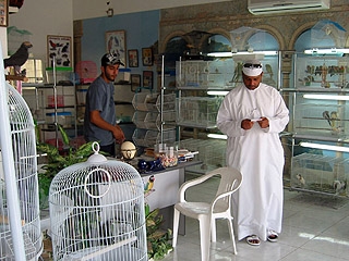 800 نبات و330 من الطيور في الدولة مهددة بالانقراض