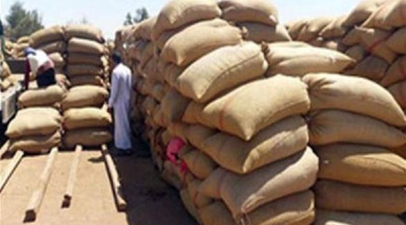 مصر توقف توريد القمح حتى مارس 2015